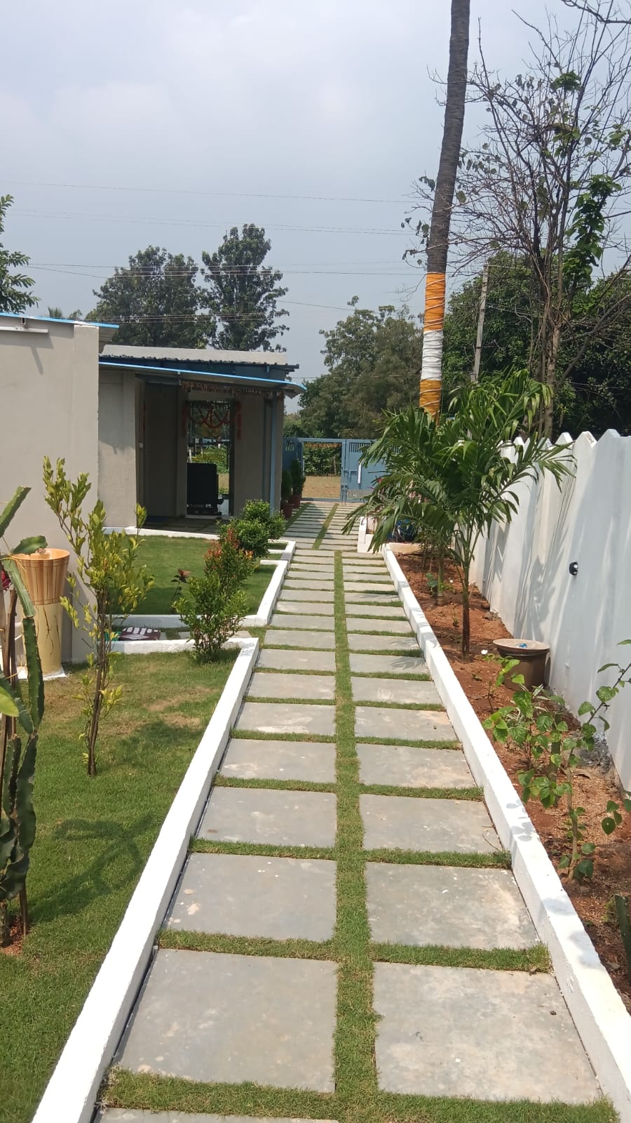 Real Estate Project